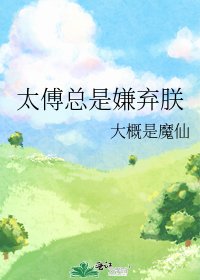 太傅總是嫌棄朕