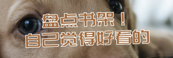 盘点书架！自己觉得好看的